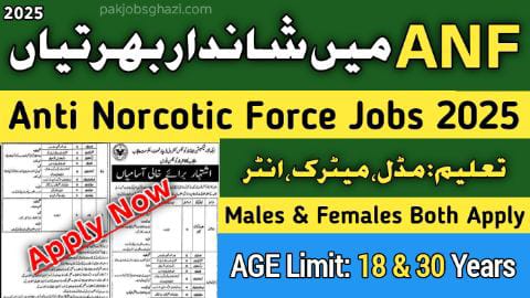 ANF Jobs 2025 Online Apply